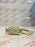 Legrand 15971GFCI Receptacle - Northeast Parts