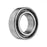 INA (Schaeffler) SL182932-B-XL - Northeast Parts