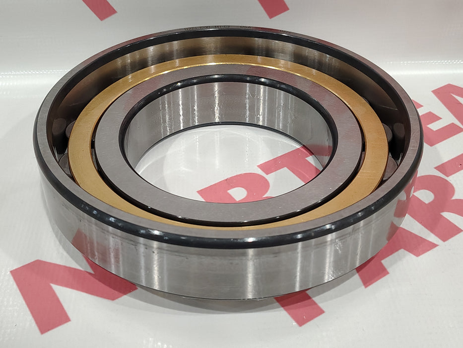 INA (Schaeffler) N224-E-XL-M1-C3 - Northeast Parts